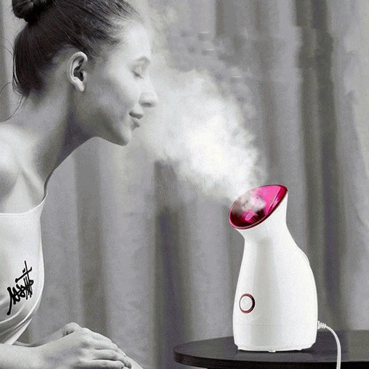 Facial Steamer